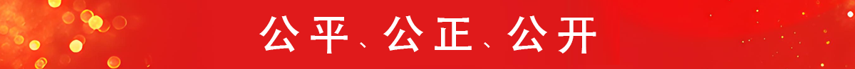 公共、公正、公開